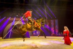 Kerstcircus