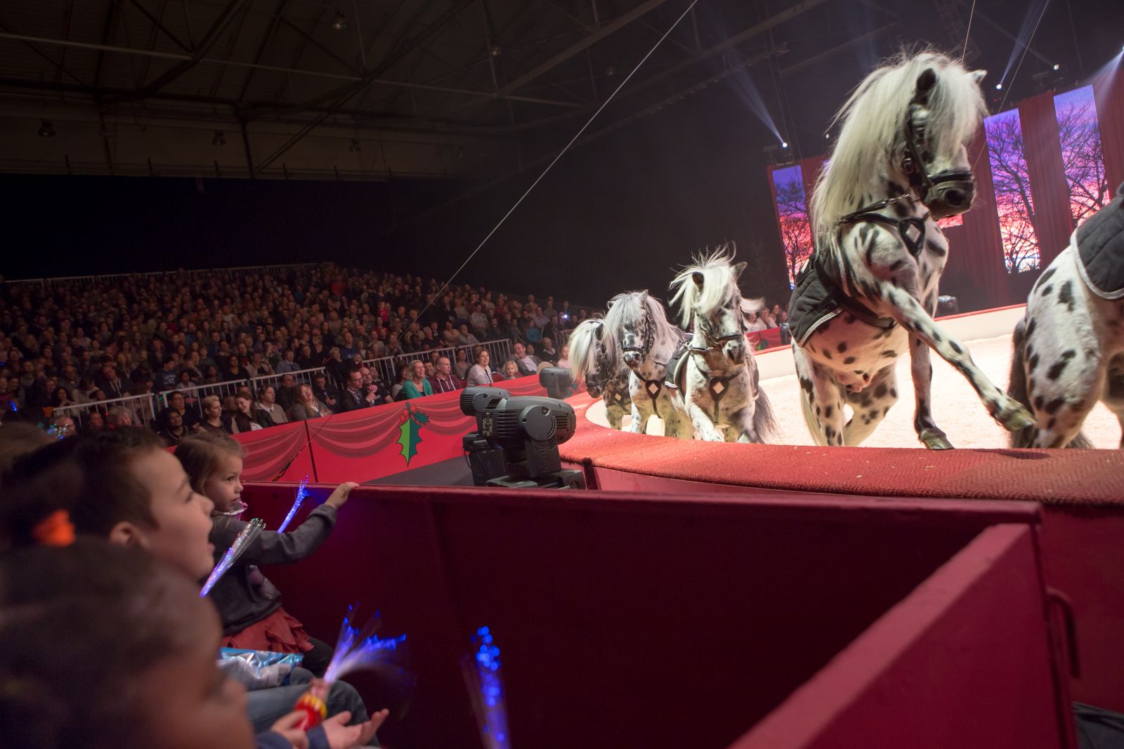 kerstcircus