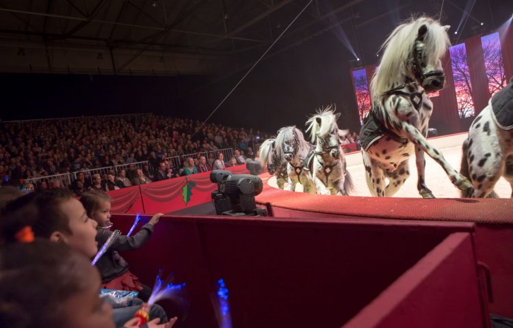 kerstcircus