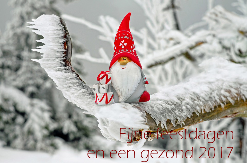 Fijne feesdagen