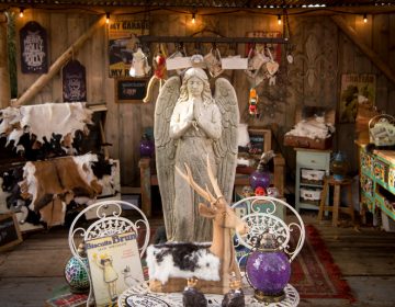 Country & Christmas Fair