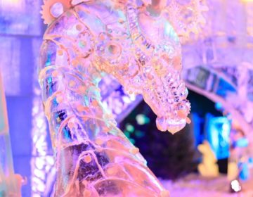 IJssculpturen-Expositie-Frozen-Magic