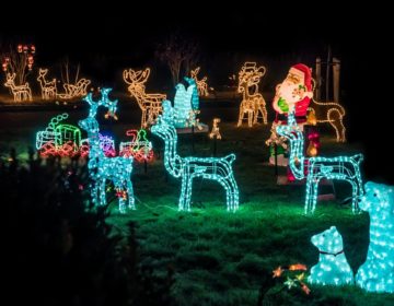 De mooiste kersttuin van de straat