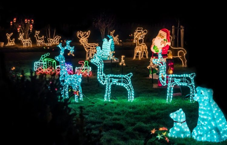 De mooiste kersttuin van de straat