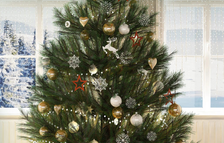 Kerstbomenwinkel.nl