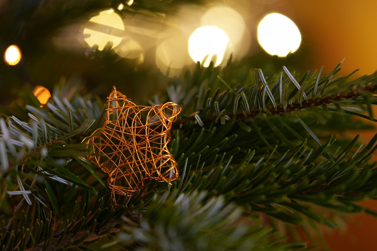 Magische momenten tijdens kerstnacht