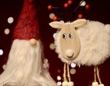 Alles voor een Fijne Kerst