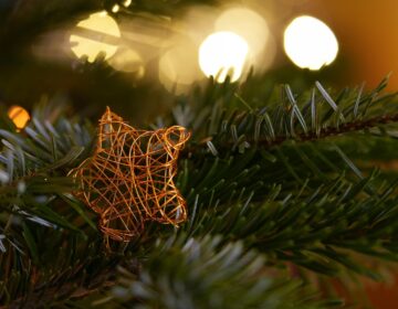 Magische momenten tijdens kerstnacht