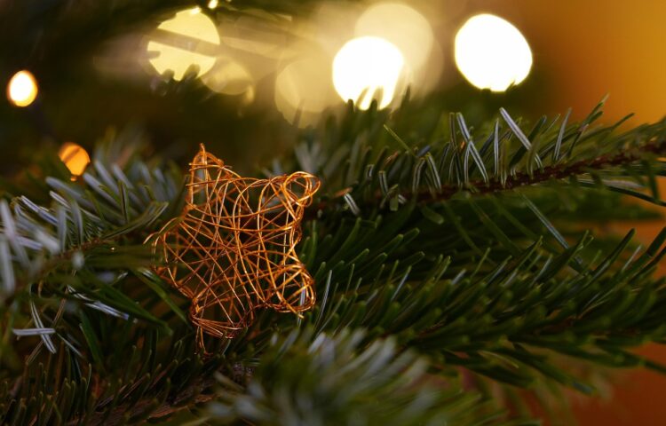 Magische momenten tijdens kerstnacht