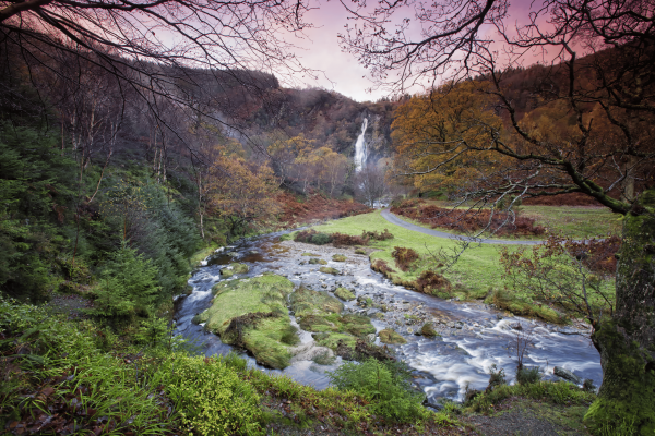 Tourism Ireland